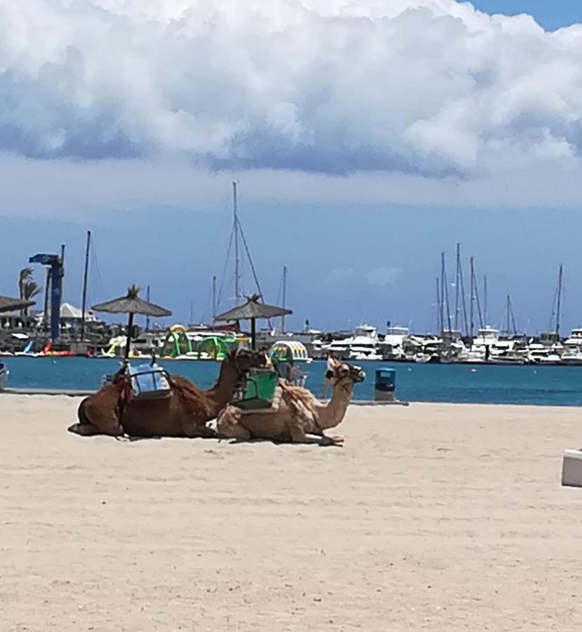 Bed & Breakfast Descanso Y Relax Puerto del Rosario  Εξωτερικό φωτογραφία
